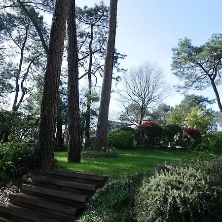 La Sous Les Pins 펜션 *