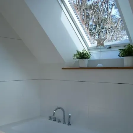 La Sous Les Pins 라트리니트쉬르메르
