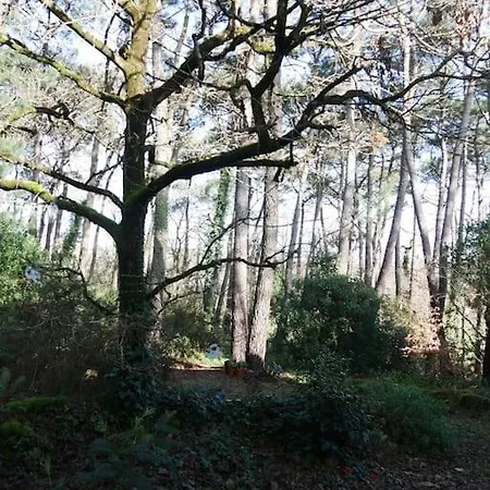 La Sous Les Pins * 라트리니트쉬르메르